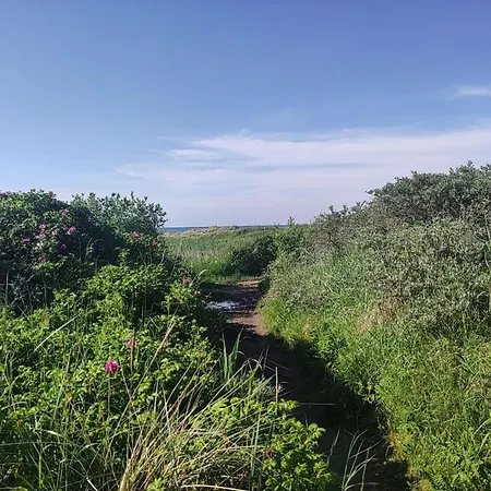 10 Person In Albaek-by Traum Сasa de vacaciones