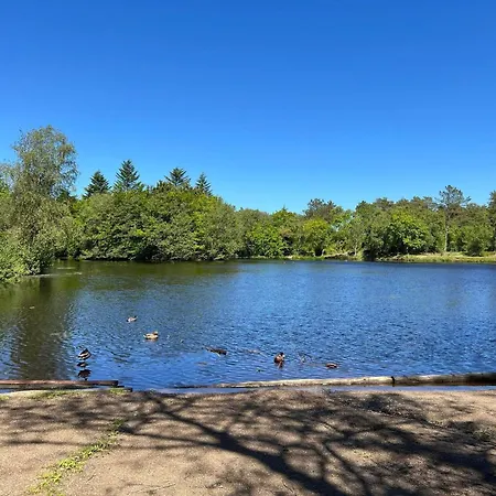 Nyaraló 10 Person In Albaek-by Traum *